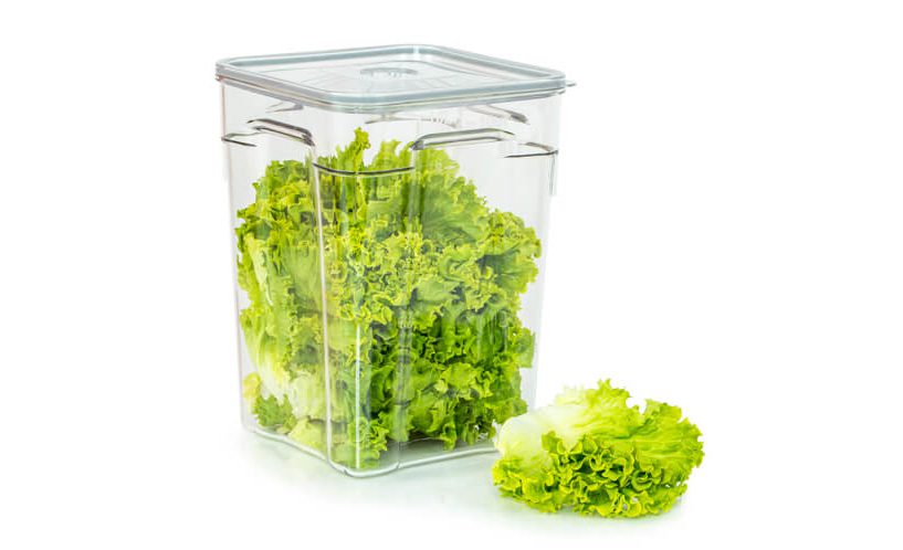 Gastro vakuumska posuda volumena 10 litara sa zelenom salatom