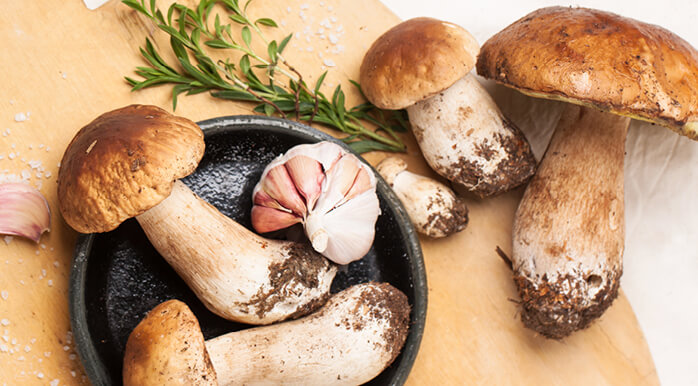 Sušenje gljiva je u sušilici najoptimalnije.