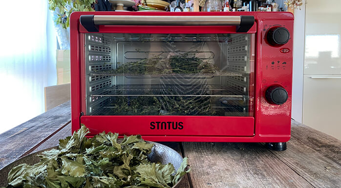 Znate li da svježi peršun ima mnogo više sadržaja vitamina C nego citrusi?