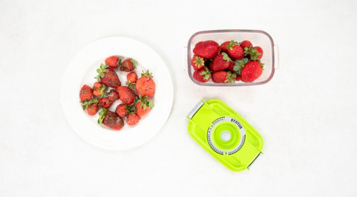 jagode v vakuumski posodi